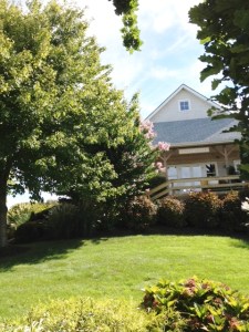 The tasting room sits on a rise overlooking the vineyard.