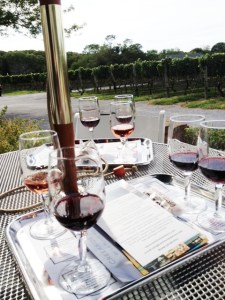 Some red tastings plus a view of the vineyard at Pellegrini.