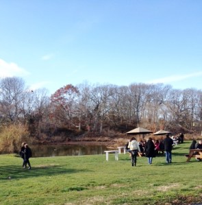 Pretty pond at Pugliese