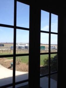 Party bus in the parking lot.