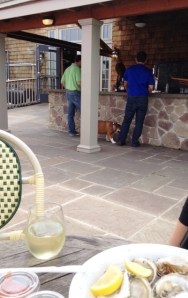 A bulldog cozies up to the bar