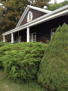 The building was originally a house, and Adam and Laura will make you feel right at home.