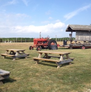 Part of the outside area.