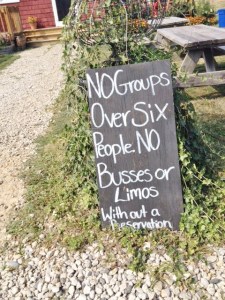 Busses actually means kisses, but my guess is they're referring to the vehicles.