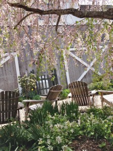 Pretty setting for pretty wines.