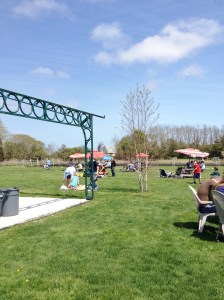 One view of the spacious back yard