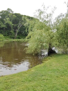 The pond at Pugliese