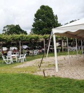 One view of the tent and the pergola.