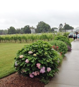 Pretty flowers line the pathway to the door.