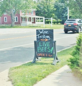Don't worry, the bees are behind glass.