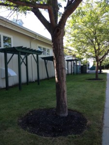 At the far end of the building you can see the entrance to the wine-making facility.