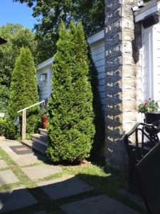 The small tasting cottage 