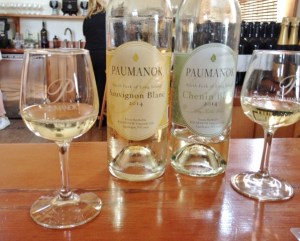 Our first two tastes