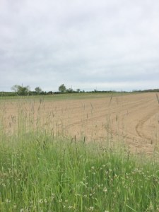 Typical scene along Oregon Road--plowed field ready for planting!