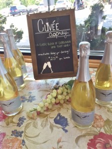 They were excited about their new sparkler. We were not.