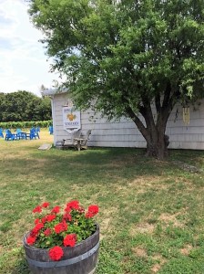 You can bring your own picnic to the outside tables, but no outside beverages.