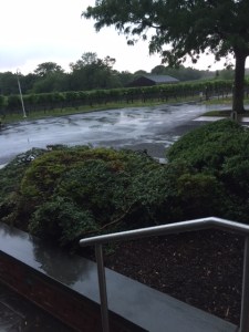 We took advantage of a lull in the storm to head out to the parking lot, but the storm was not over!