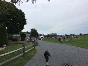 The capacious "backyard" of Martha Clara.