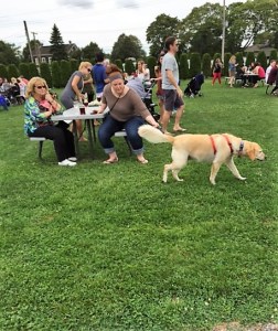 Plenty of room for dogs and children.