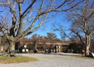 In warmer weather, this courtyard might be a nice place to relax.