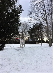 It takes more than a little snow to keep us from doing a tasting.